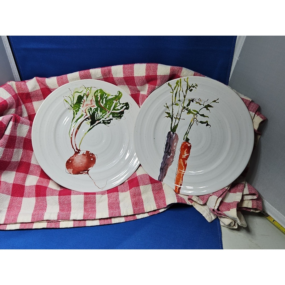 Pier 1 Imports Farmers Market Veggie 8.5" Salad Plates BEETROOT CARROT Beet